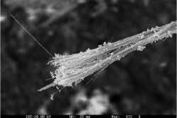 Asbestos
